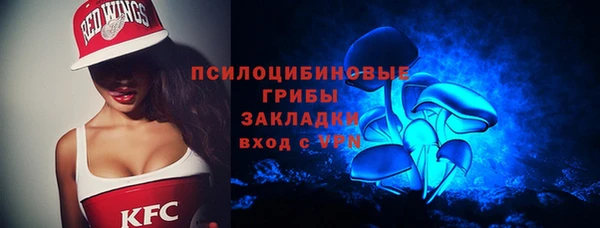 PSILOCYBIN Алзамай