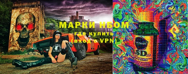 PSILOCYBIN Алзамай