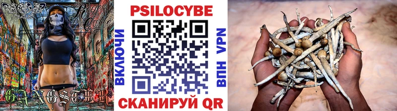 Псилоцибиновые грибы Cubensis  Аткарск 